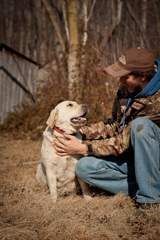 Yellow Lab Love